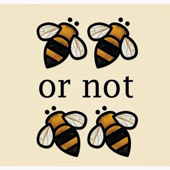 Meet your Posher, Alexandra - Picture 1 of 1